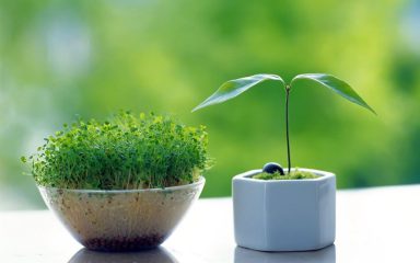 تجهیزات اسپرت خودرو | اسپرتین